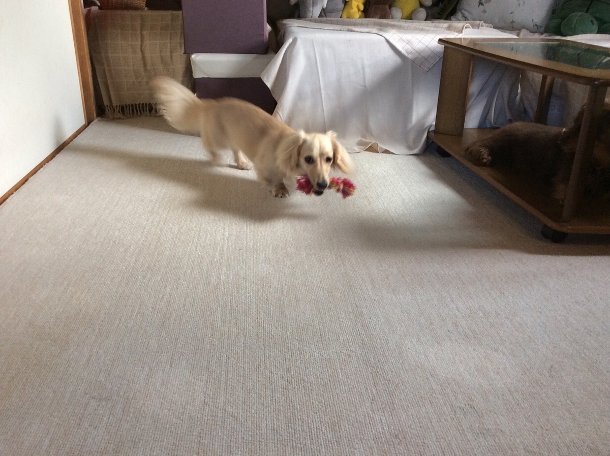 f:id:hirotaka72:20190727093141j:plain