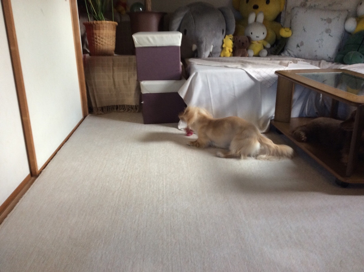 f:id:hirotaka72:20190727093154j:plain