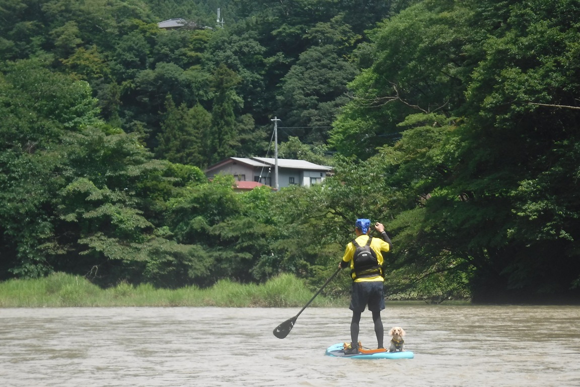 f:id:hirotaka72:20190728103401j:plain f:id:hirotaka72:20190728103401j:plain
