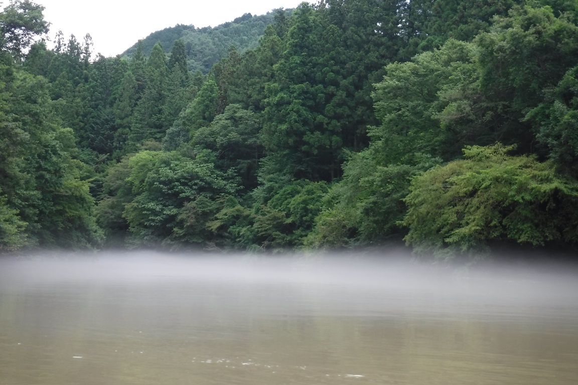 f:id:hirotaka72:20190728110840j:plain f:id:hirotaka72:20190728110840j:plain