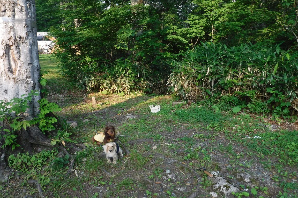 f:id:hirotaka72:20190811163843j:plain f:id:hirotaka72:20190811163843j:plain