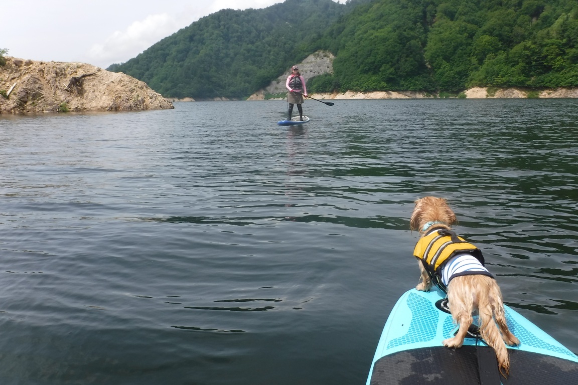 f:id:hirotaka72:20190812092831j:plain f:id:hirotaka72:20190812092831j:plain