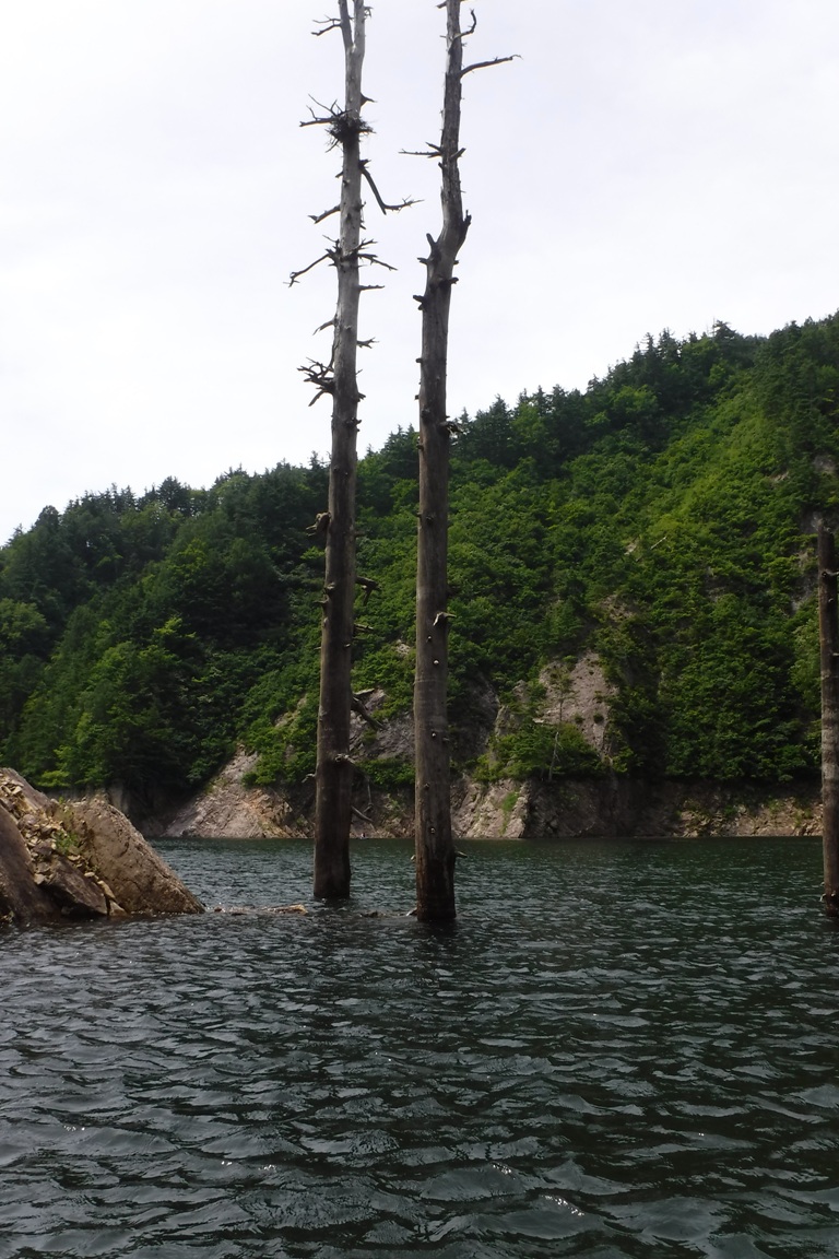 f:id:hirotaka72:20190812102558j:plain f:id:hirotaka72:20190812102558j:plain
