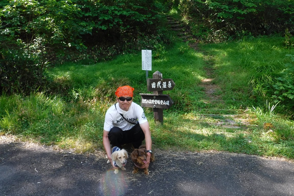 f:id:hirotaka72:20190813081820j:plain f:id:hirotaka72:20190813081820j:plain