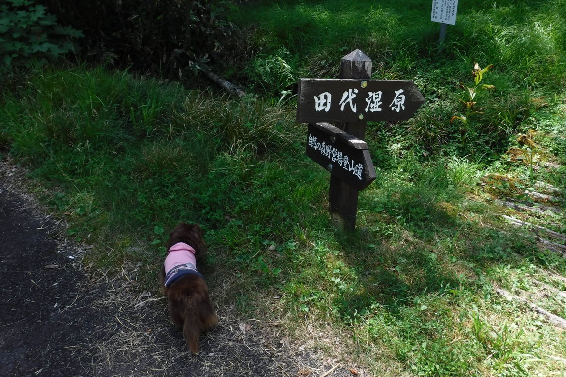 f:id:hirotaka72:20190813093937j:plain f:id:hirotaka72:20190813093937j:plain