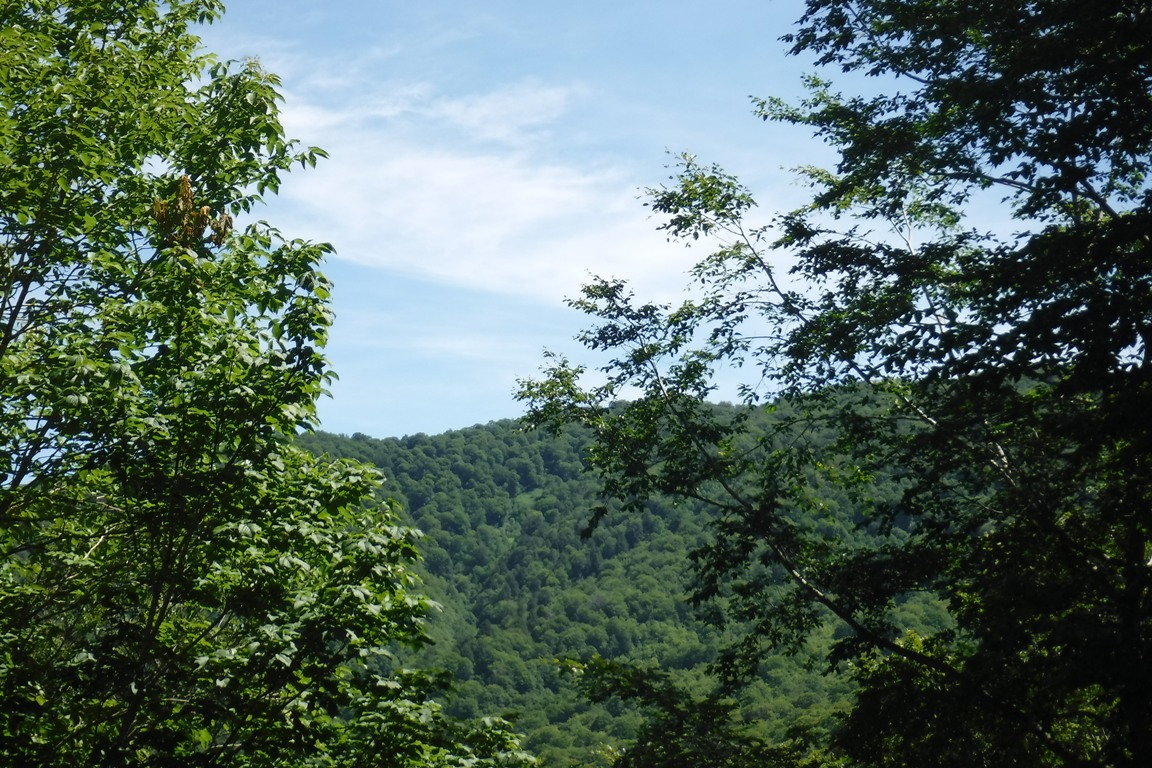 f:id:hirotaka72:20190813095304j:plain f:id:hirotaka72:20190813095304j:plain
