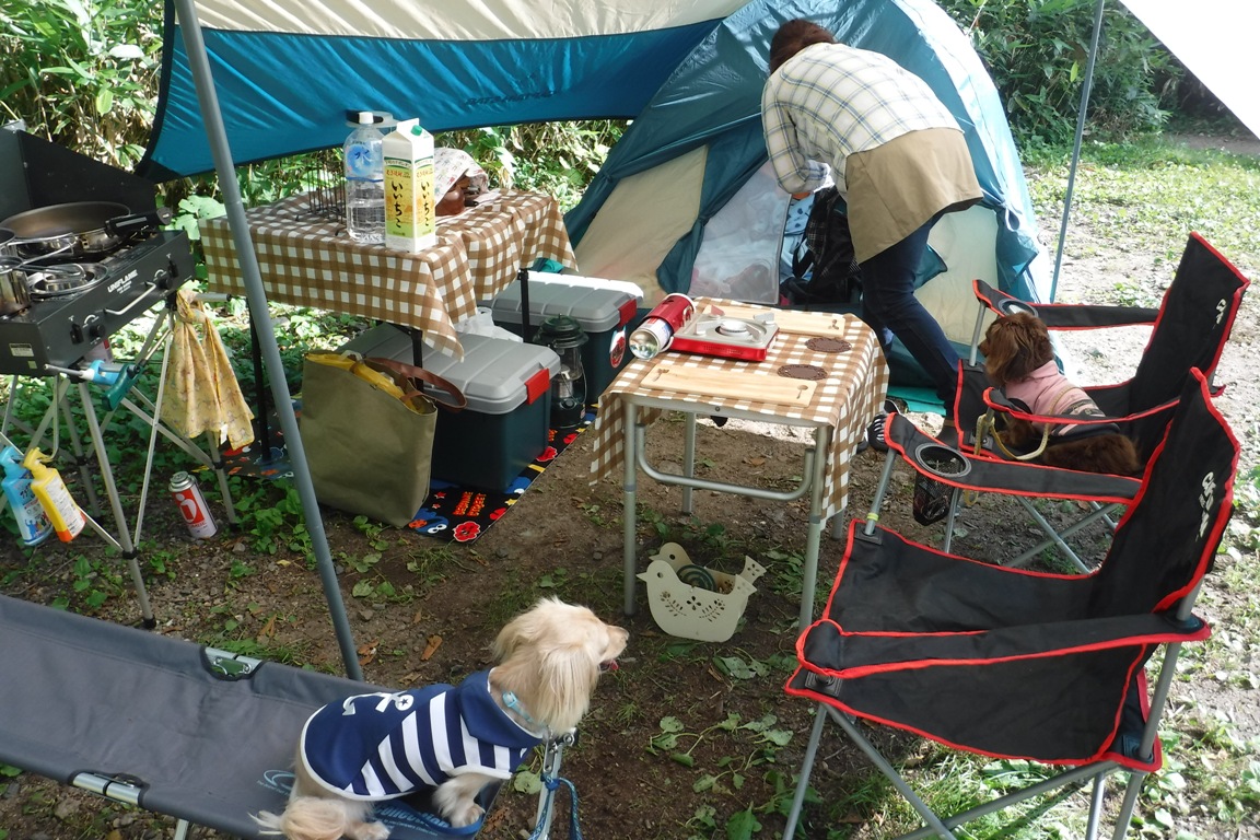 f:id:hirotaka72:20190813153142j:plain f:id:hirotaka72:20190813153142j:plain