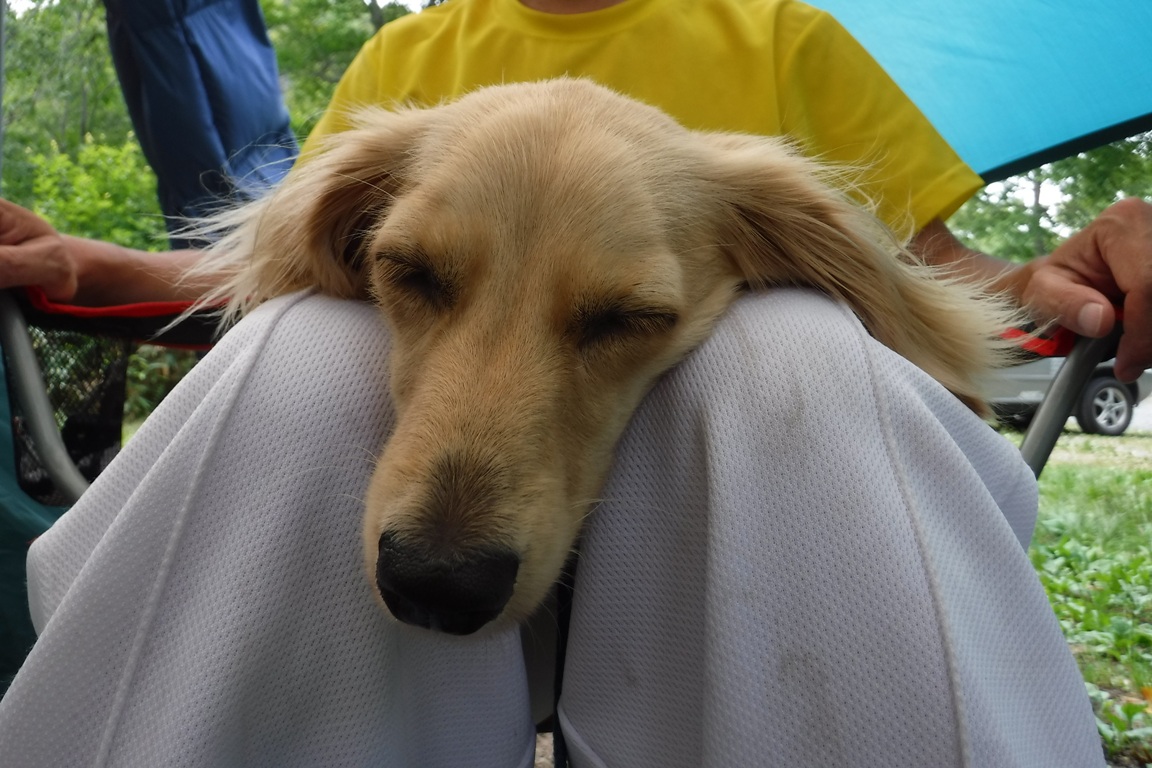 f:id:hirotaka72:20190814105238j:plain f:id:hirotaka72:20190814105238j:plain
