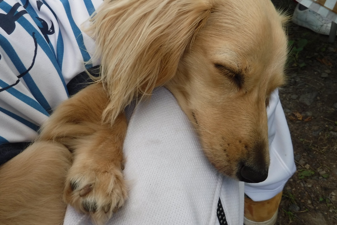 f:id:hirotaka72:20190814105343j:plain f:id:hirotaka72:20190814105343j:plain