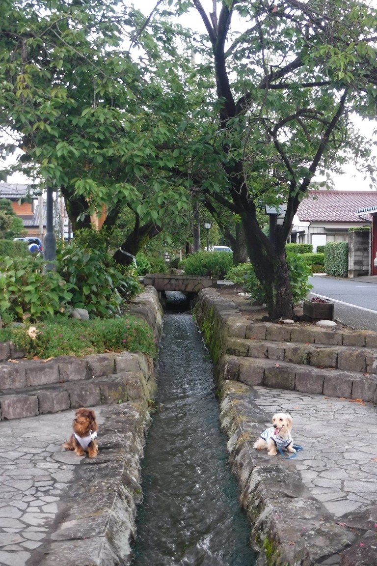 f:id:hirotaka72:20190814164437j:plain f:id:hirotaka72:20190814164437j:plain