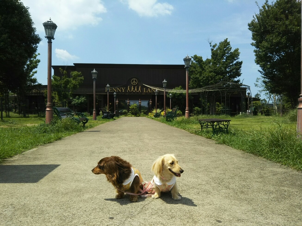 f:id:hirotaka72:20190817114858j:plain