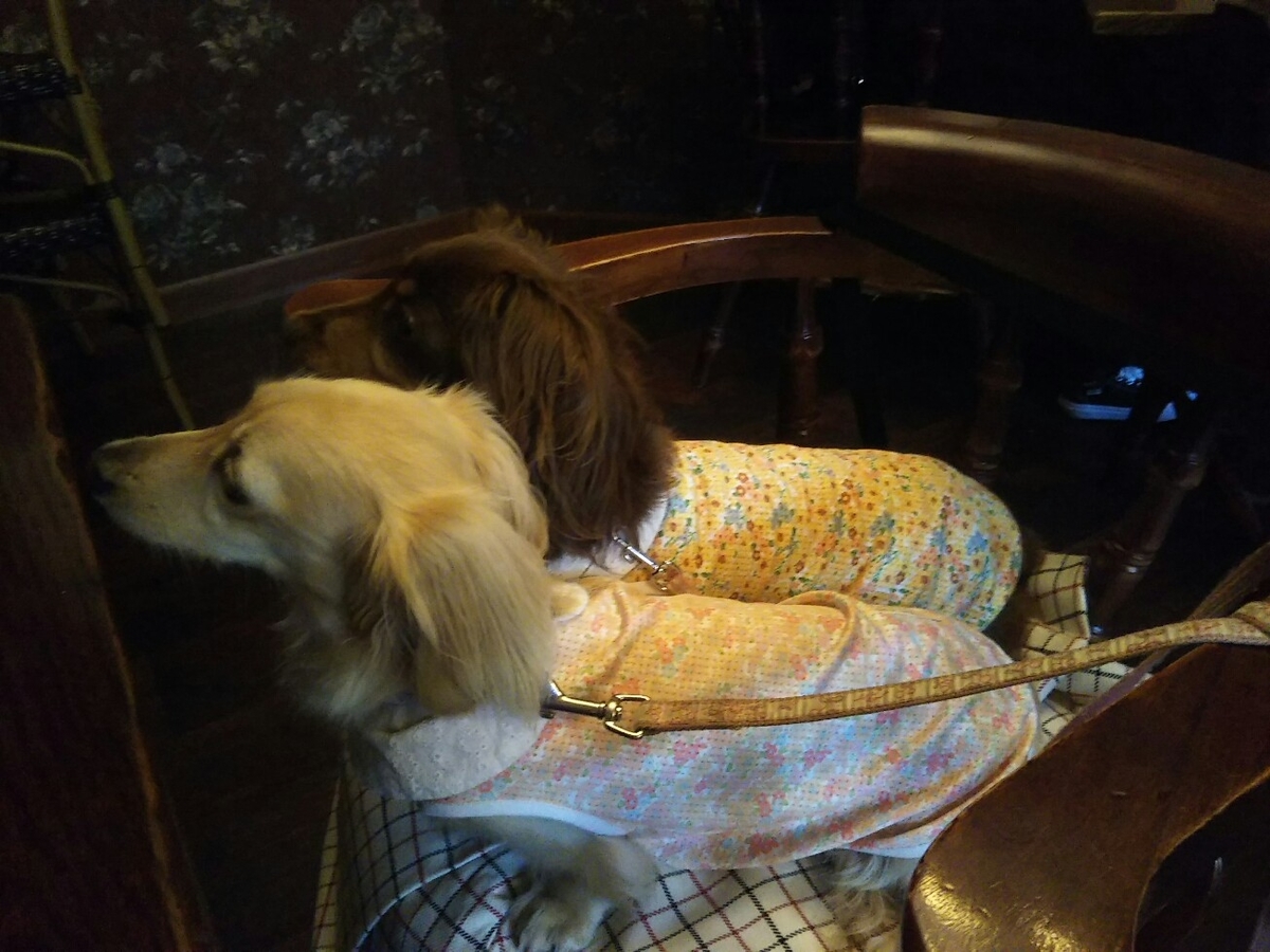 f:id:hirotaka72:20190817125225j:plain f:id:hirotaka72:20190817125225j:plain