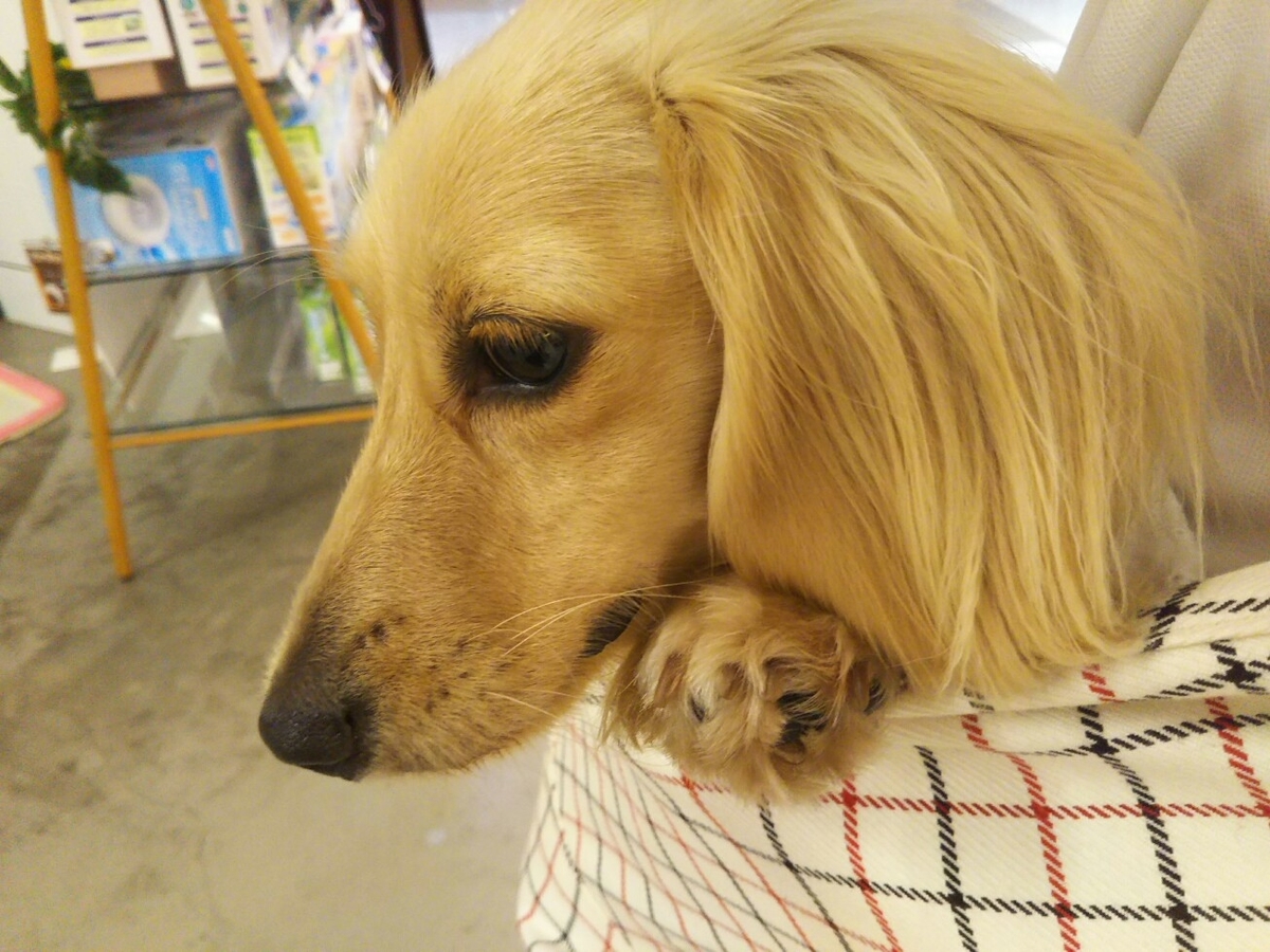 f:id:hirotaka72:20190817130419j:plain f:id:hirotaka72:20190817130419j:plain