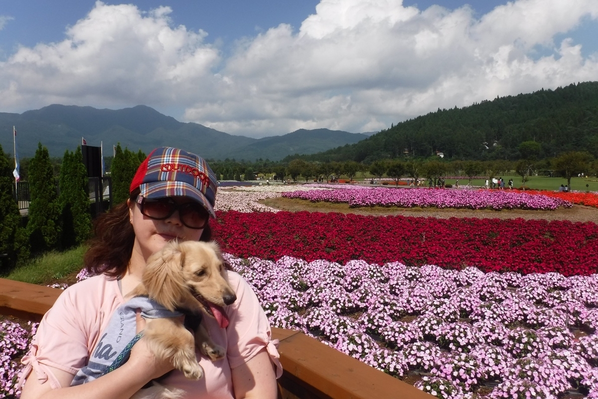 f:id:hirotaka72:20190824125741j:plain f:id:hirotaka72:20190824125741j:plain