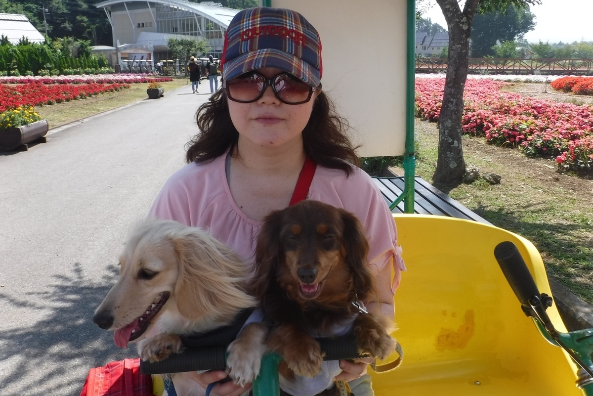 f:id:hirotaka72:20190824130425j:plain f:id:hirotaka72:20190824130425j:plain