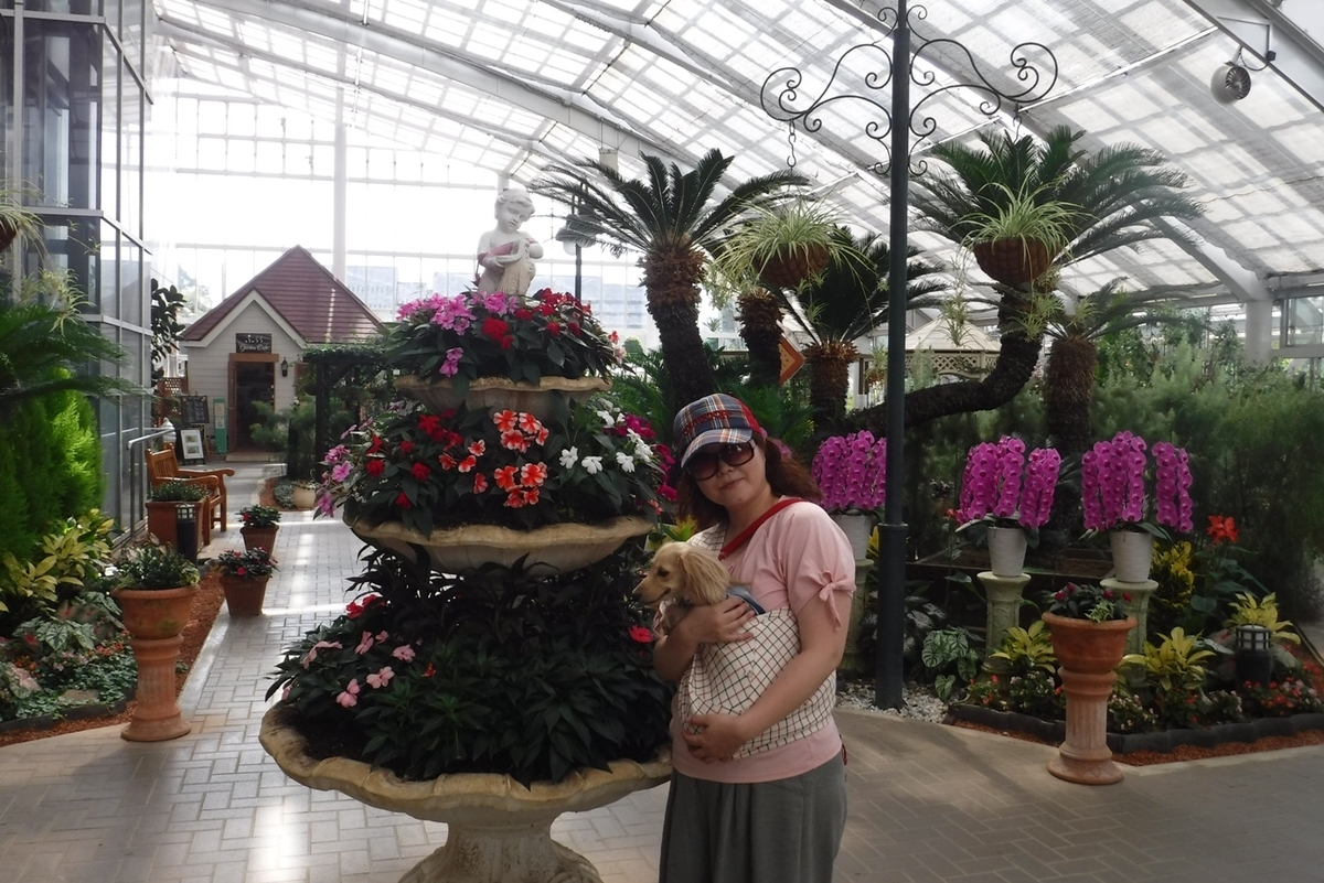 f:id:hirotaka72:20190824134007j:plain f:id:hirotaka72:20190824134007j:plain