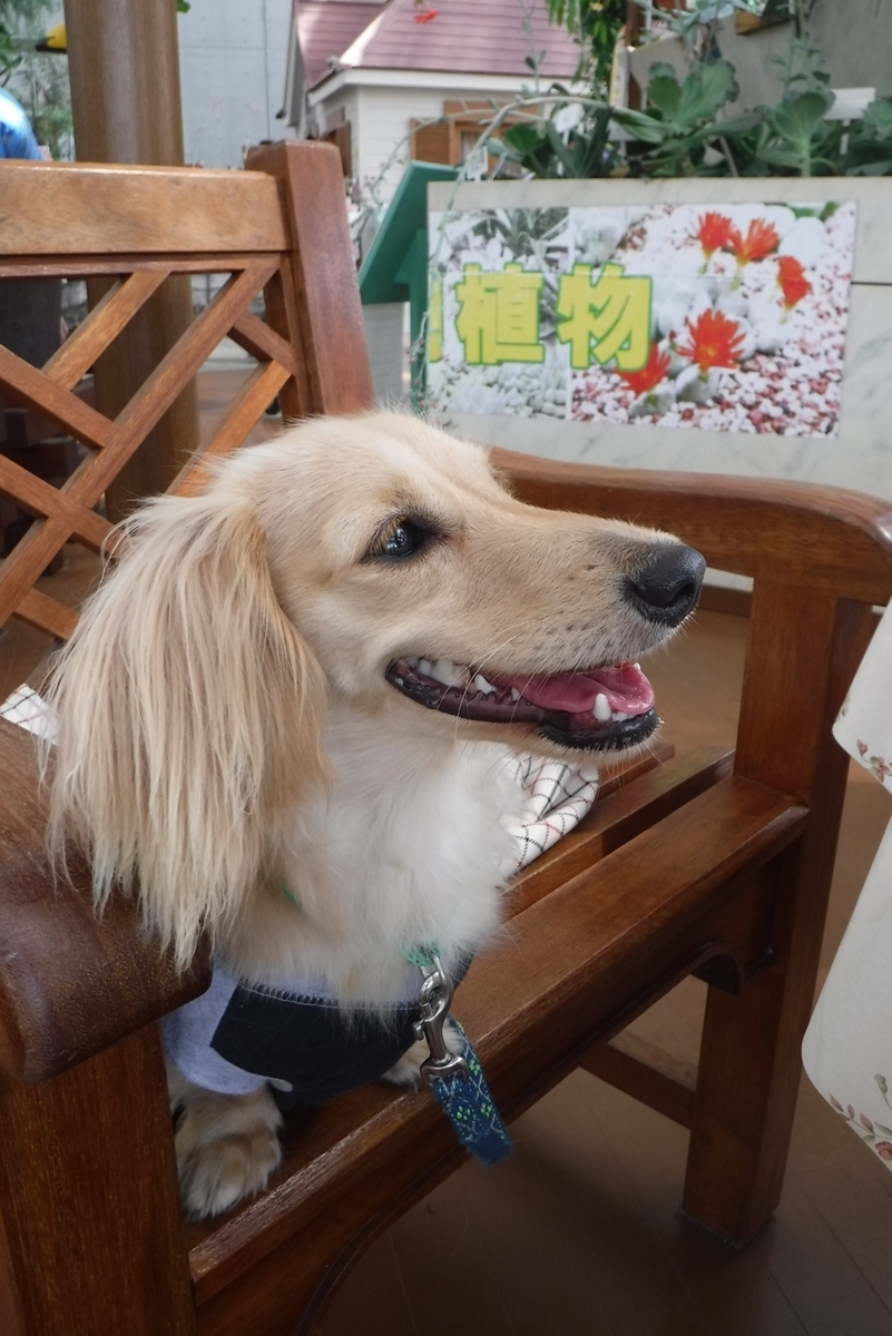 f:id:hirotaka72:20190824134613j:plain f:id:hirotaka72:20190824134613j:plain