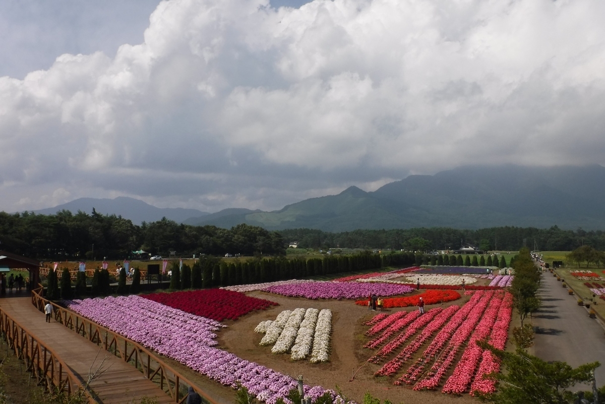 f:id:hirotaka72:20190824140245j:plain f:id:hirotaka72:20190824140245j:plain