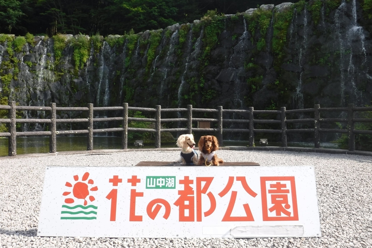 f:id:hirotaka72:20190824142237j:plain f:id:hirotaka72:20190824142237j:plain