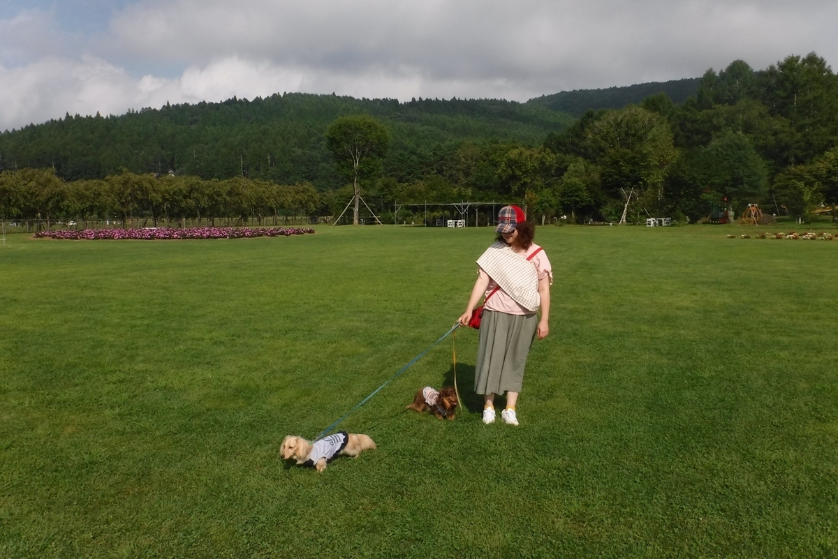 f:id:hirotaka72:20190824144459j:plain f:id:hirotaka72:20190824144459j:plain