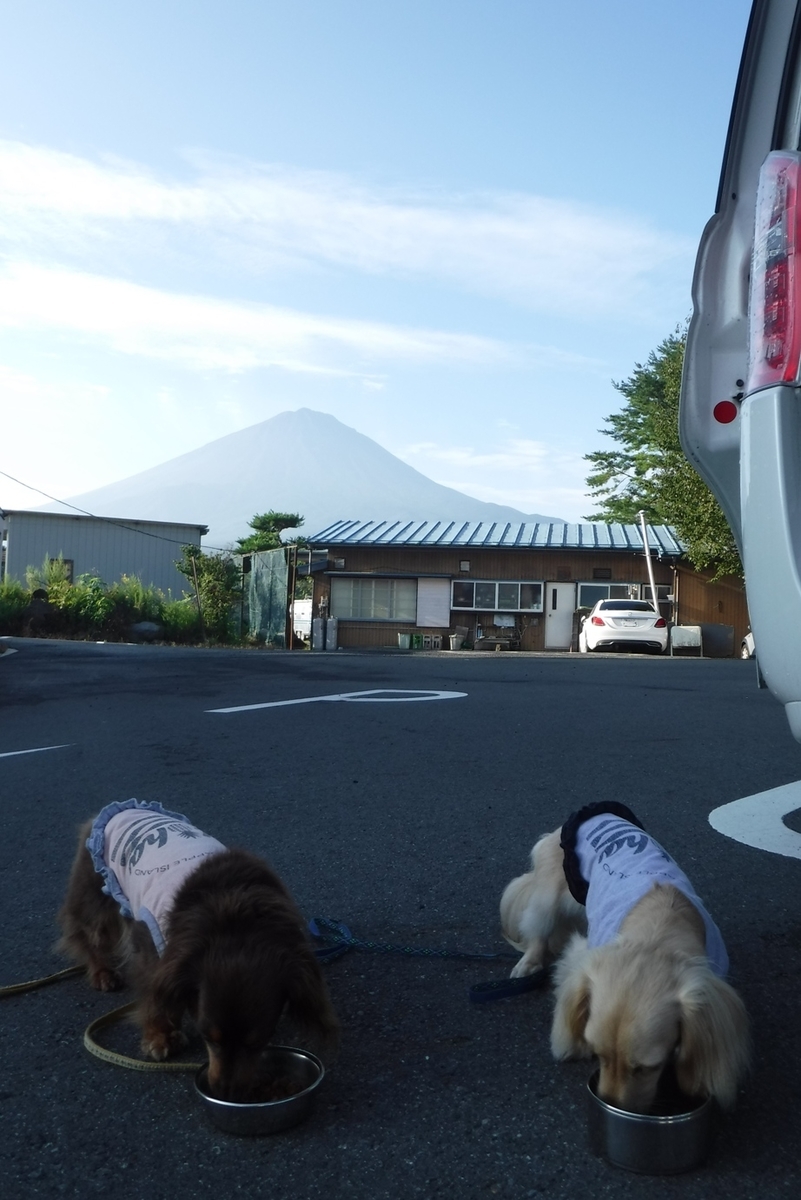 f:id:hirotaka72:20190825062448j:plain f:id:hirotaka72:20190825062448j:plain