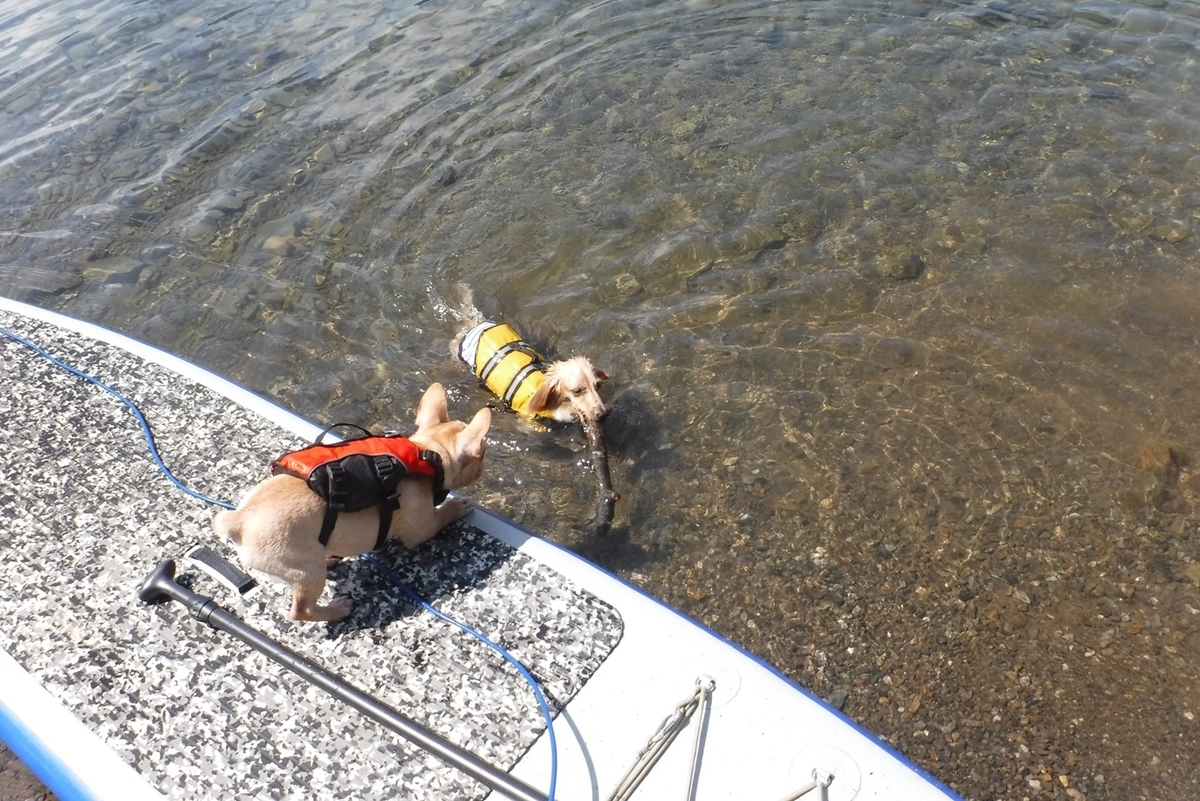f:id:hirotaka72:20190825092651j:plain f:id:hirotaka72:20190825092651j:plain