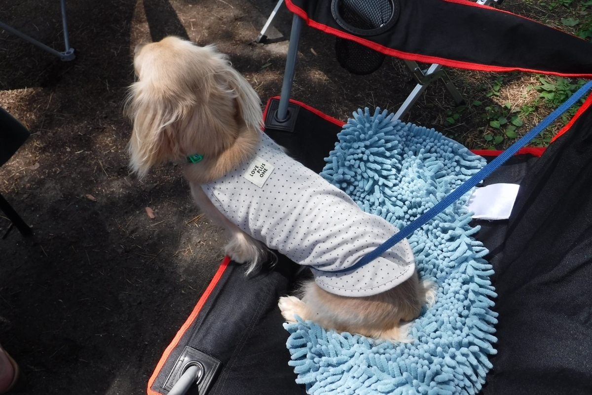 f:id:hirotaka72:20190825112236j:plain f:id:hirotaka72:20190825112236j:plain