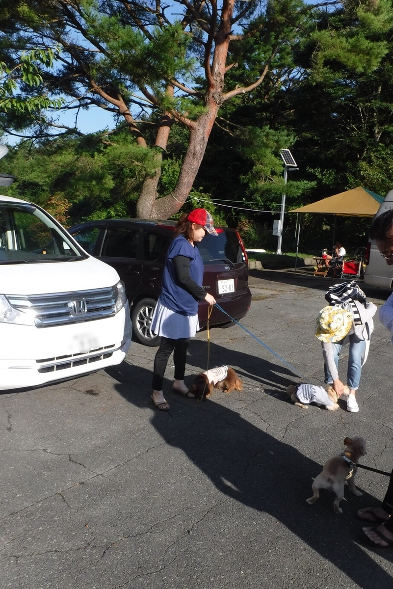 f:id:hirotaka72:20190826214600j:plain f:id:hirotaka72:20190826214600j:plain