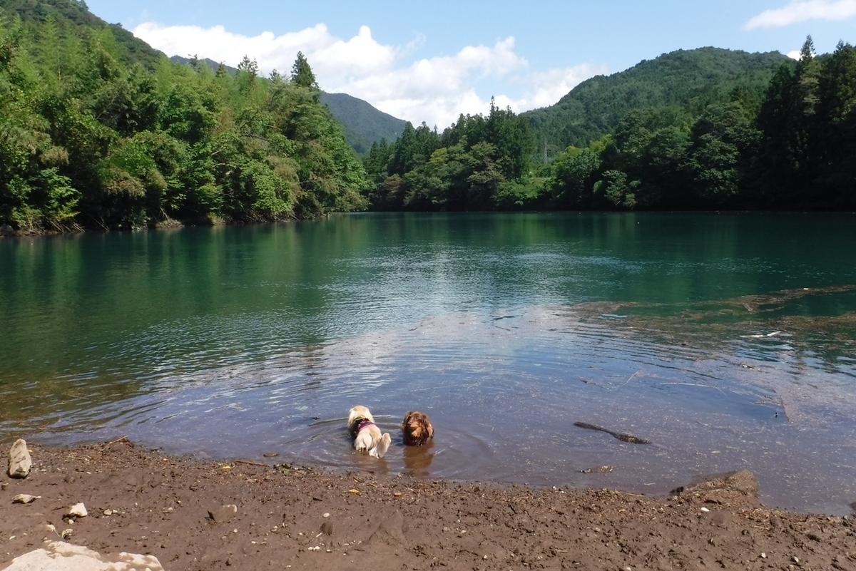 f:id:hirotaka72:20190831093423j:plain f:id:hirotaka72:20190831093423j:plain