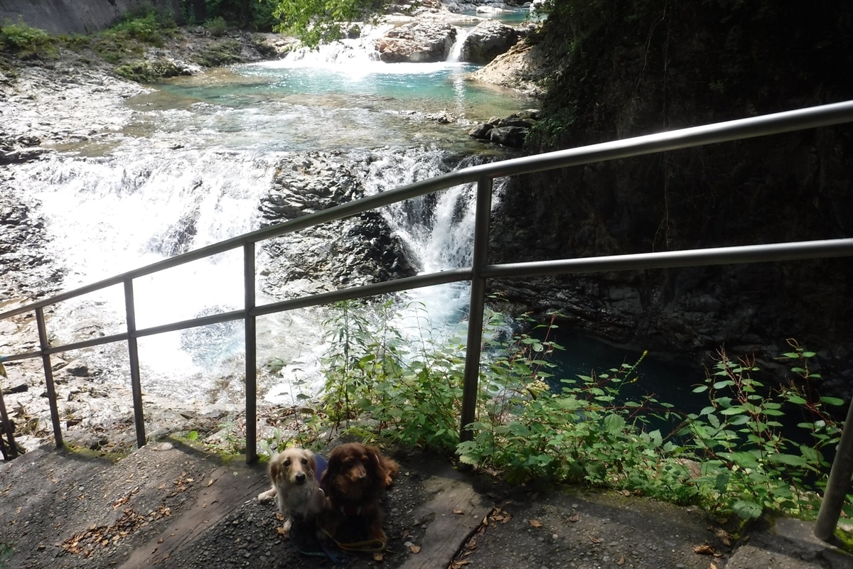 f:id:hirotaka72:20190831131024j:plain f:id:hirotaka72:20190831131024j:plain
