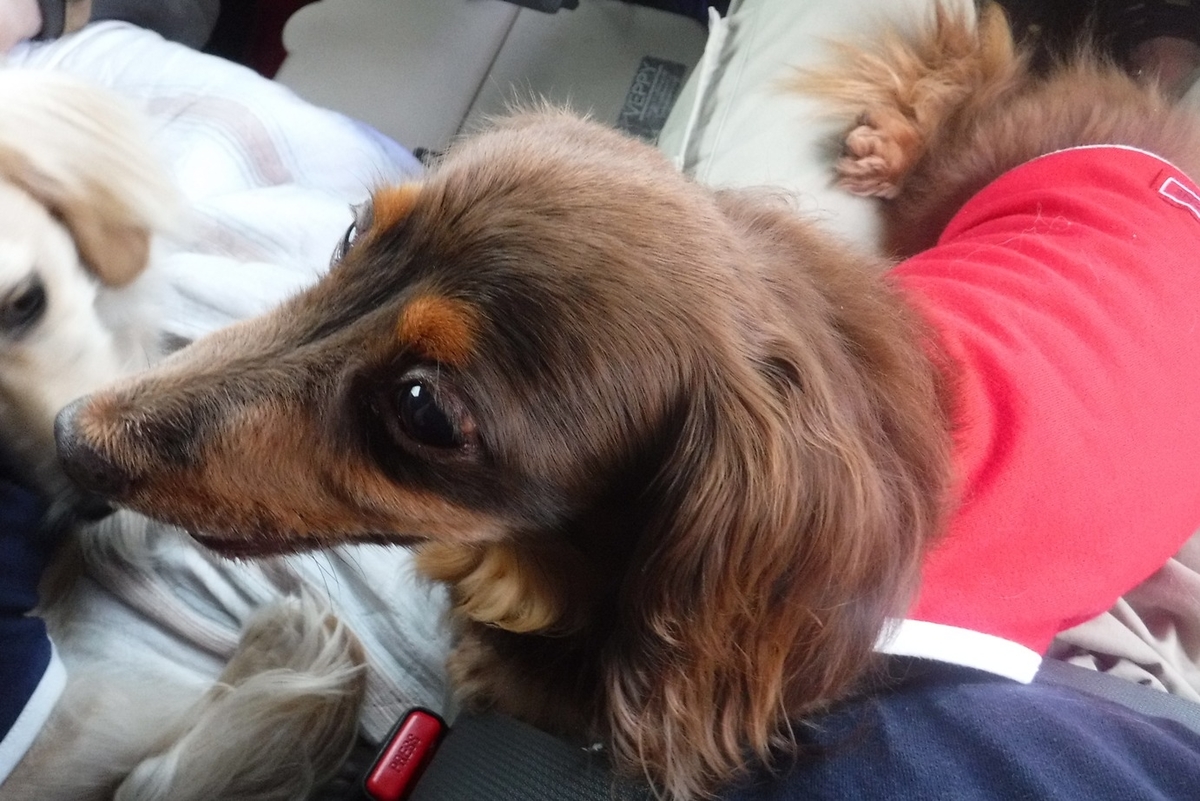 f:id:hirotaka72:20190831165256j:plain f:id:hirotaka72:20190831165256j:plain