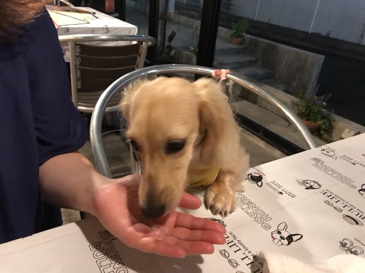 f:id:hirotaka72:20190910203053j:plain f:id:hirotaka72:20190910203053j:plain