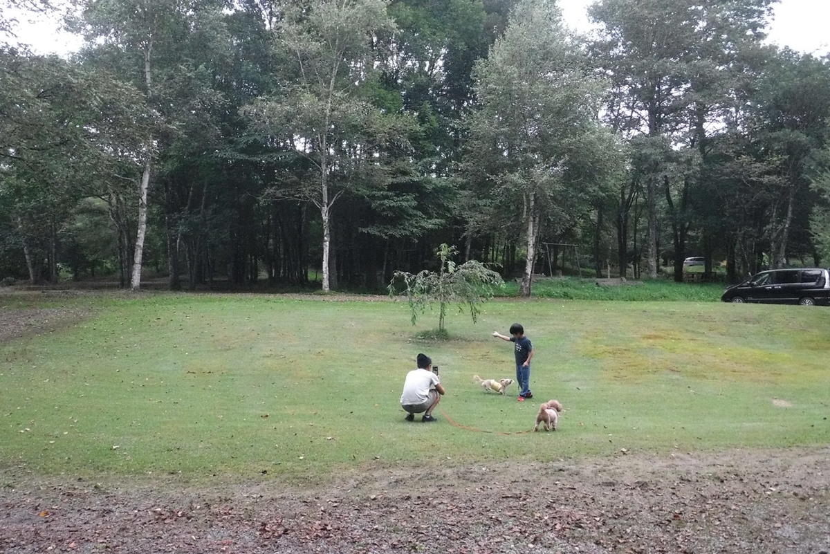 f:id:hirotaka72:20190914165718j:plain f:id:hirotaka72:20190914165718j:plain