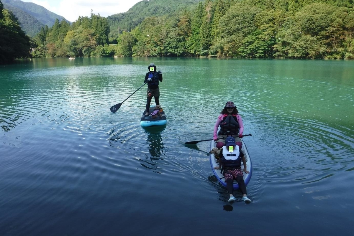f:id:hirotaka72:20190915140950j:plain f:id:hirotaka72:20190915140950j:plain