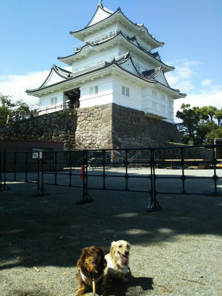 f:id:hirotaka72:20190917124030j:plain f:id:hirotaka72:20190917124030j:plain