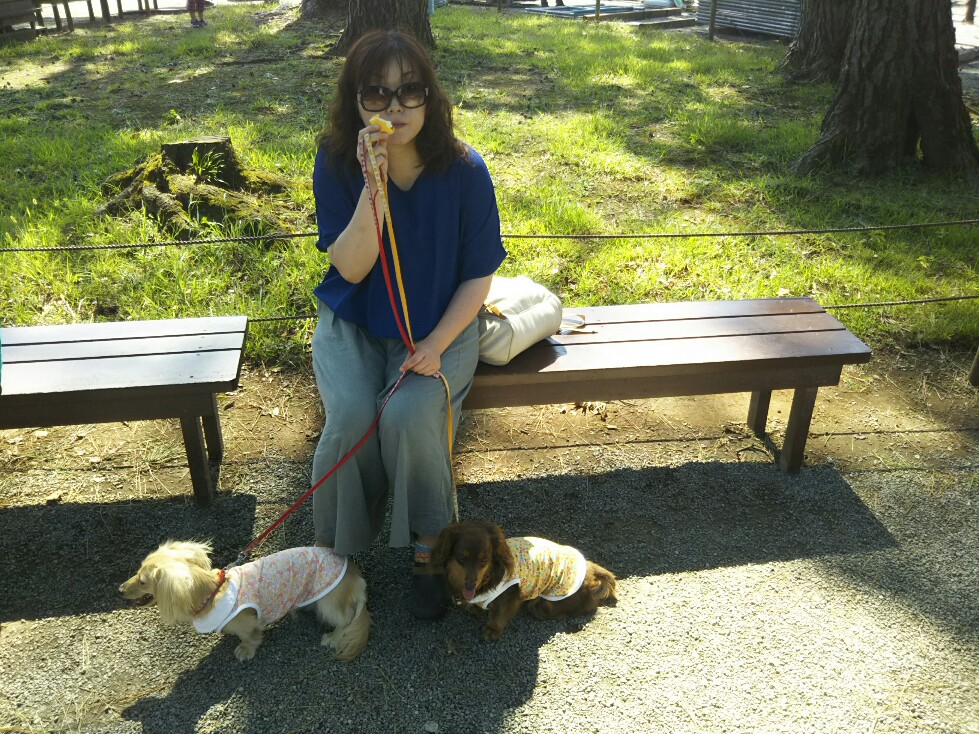 f:id:hirotaka72:20190917124751j:plain f:id:hirotaka72:20190917124751j:plain