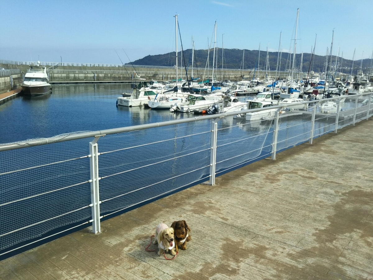 f:id:hirotaka72:20190917141642j:plain f:id:hirotaka72:20190917141642j:plain