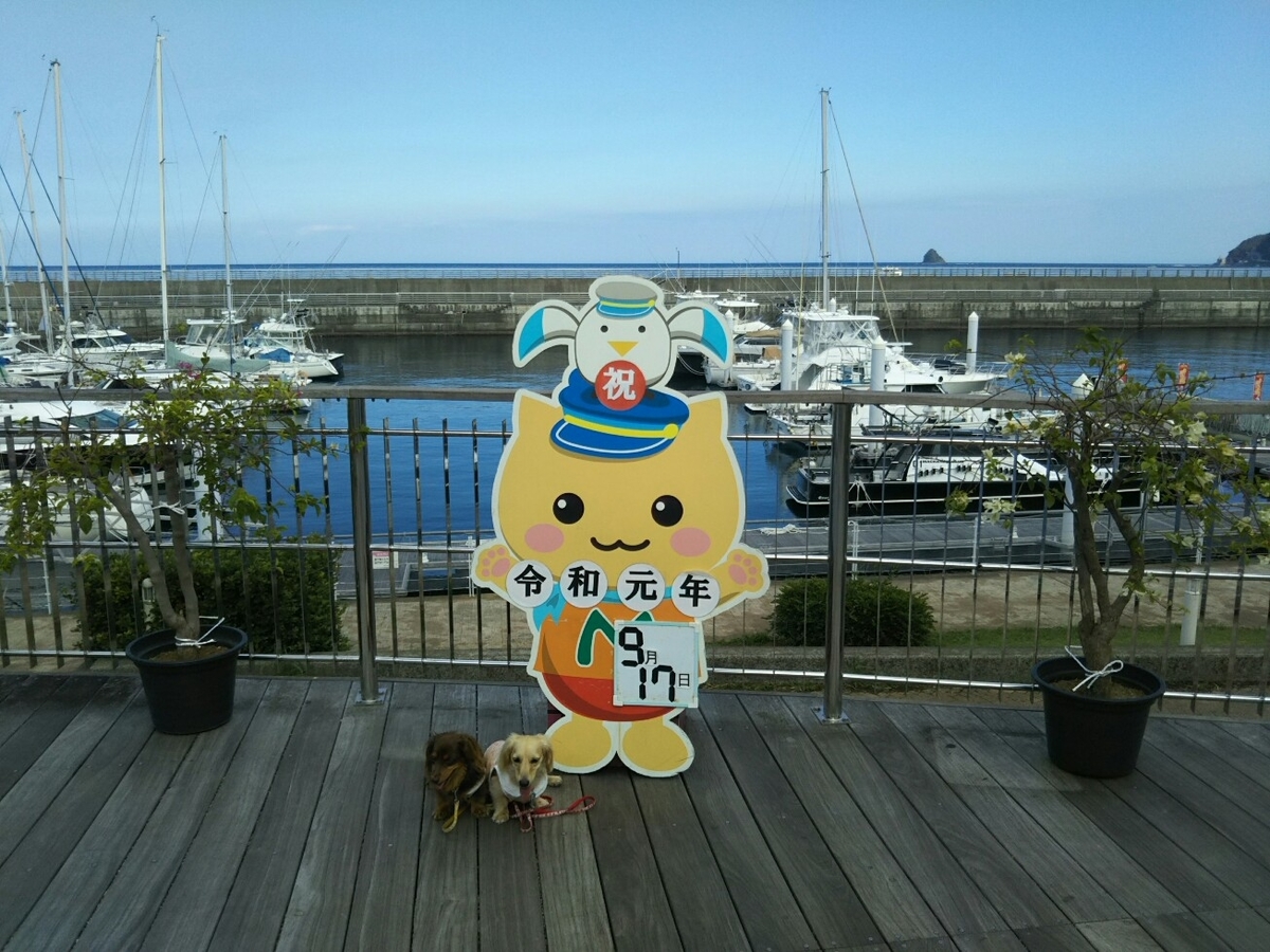 f:id:hirotaka72:20190917142311j:plain f:id:hirotaka72:20190917142311j:plain