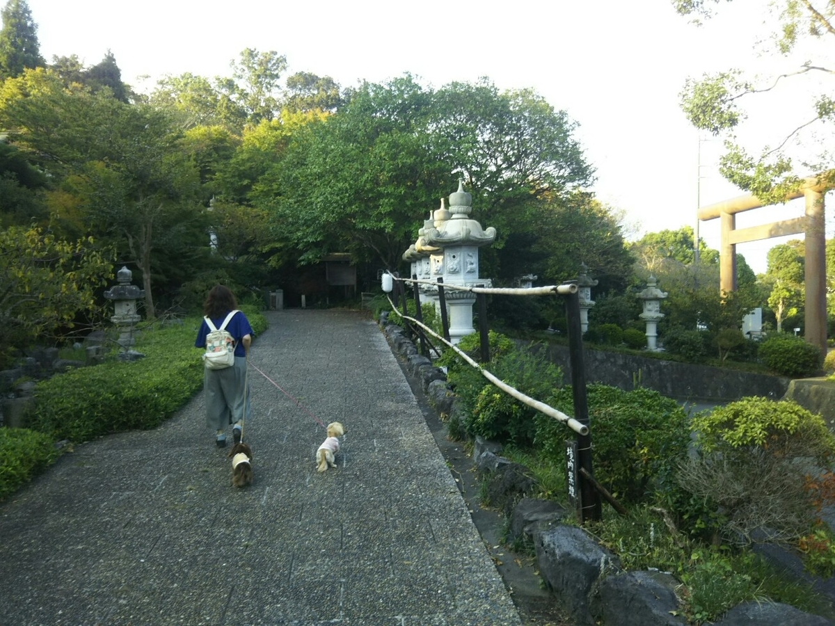 f:id:hirotaka72:20190917161309j:plain f:id:hirotaka72:20190917161309j:plain