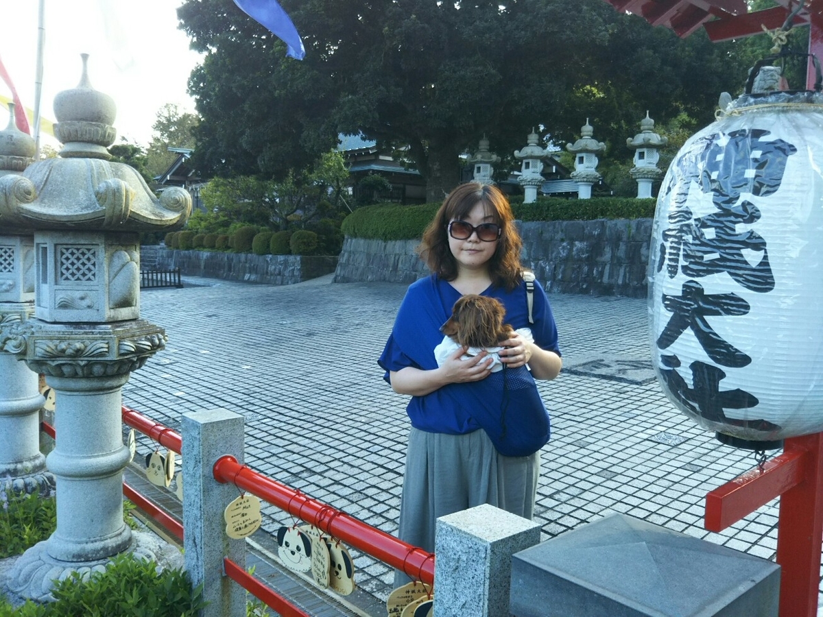 f:id:hirotaka72:20190917161520j:plain f:id:hirotaka72:20190917161520j:plain