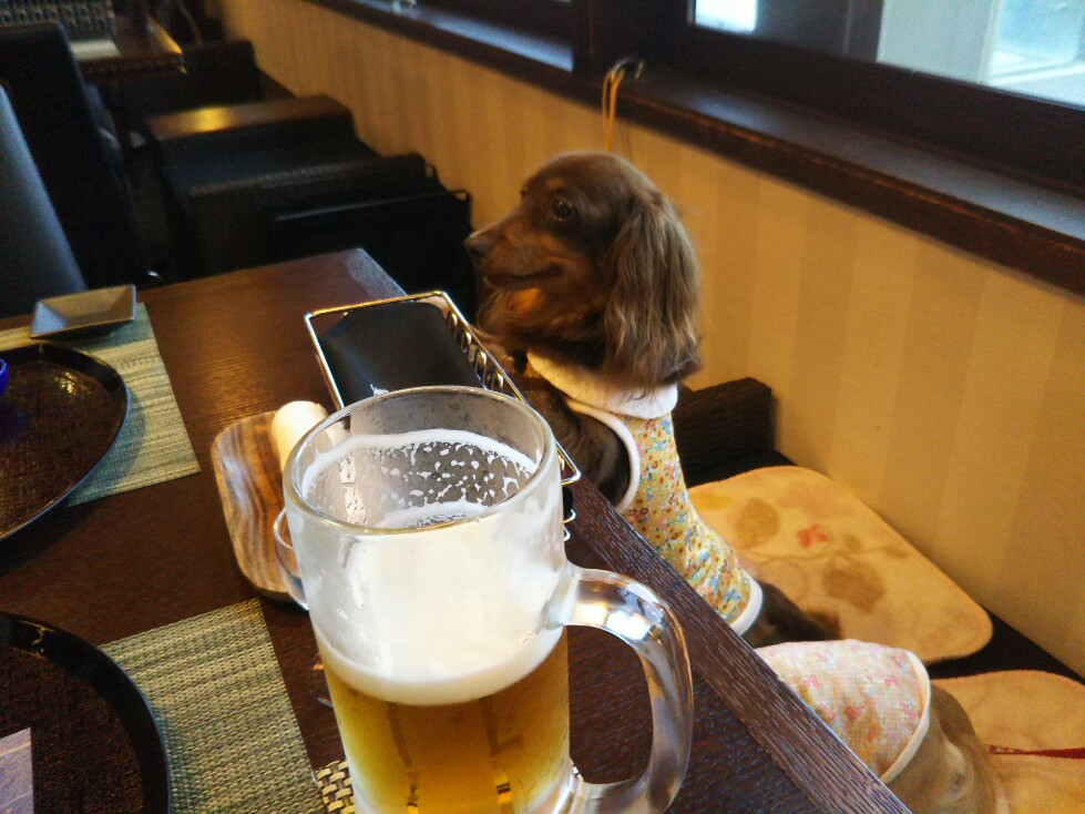 f:id:hirotaka72:20190917171237j:plain f:id:hirotaka72:20190917171237j:plain