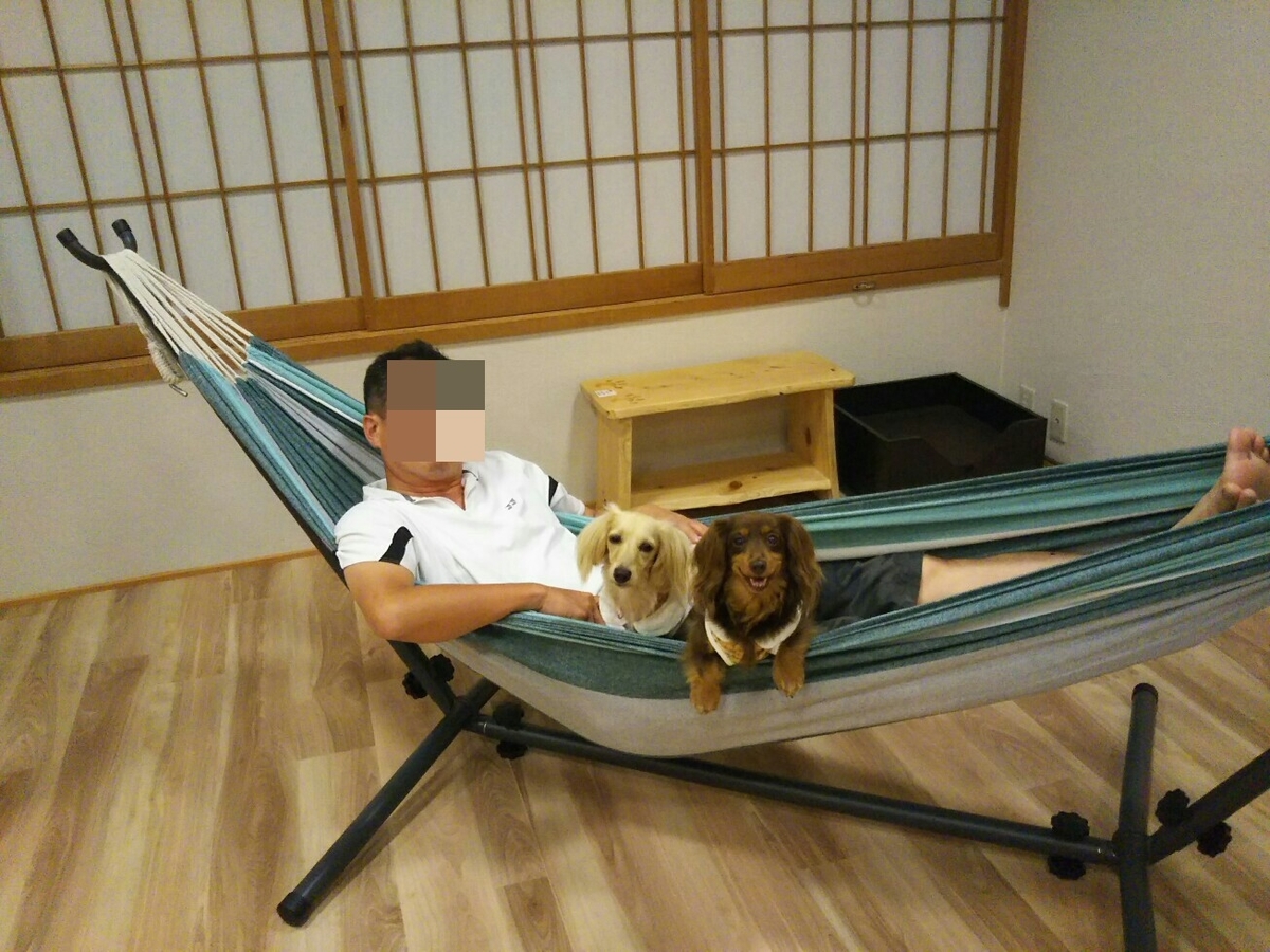 f:id:hirotaka72:20190917184815j:plain f:id:hirotaka72:20190917184815j:plain