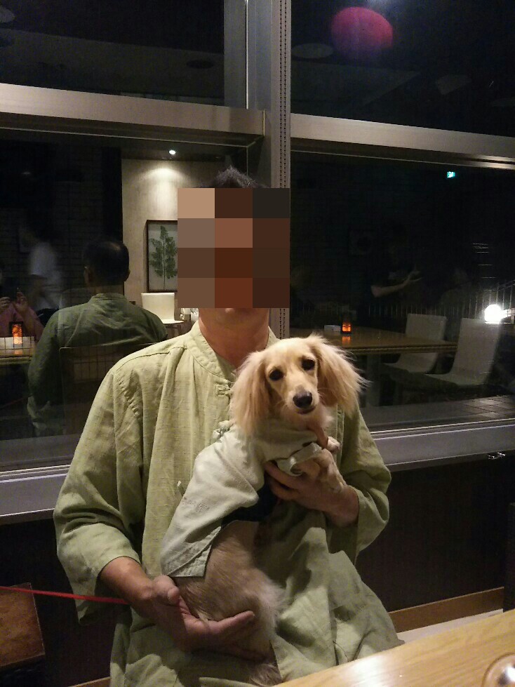f:id:hirotaka72:20190917214038j:plain f:id:hirotaka72:20190917214038j:plain