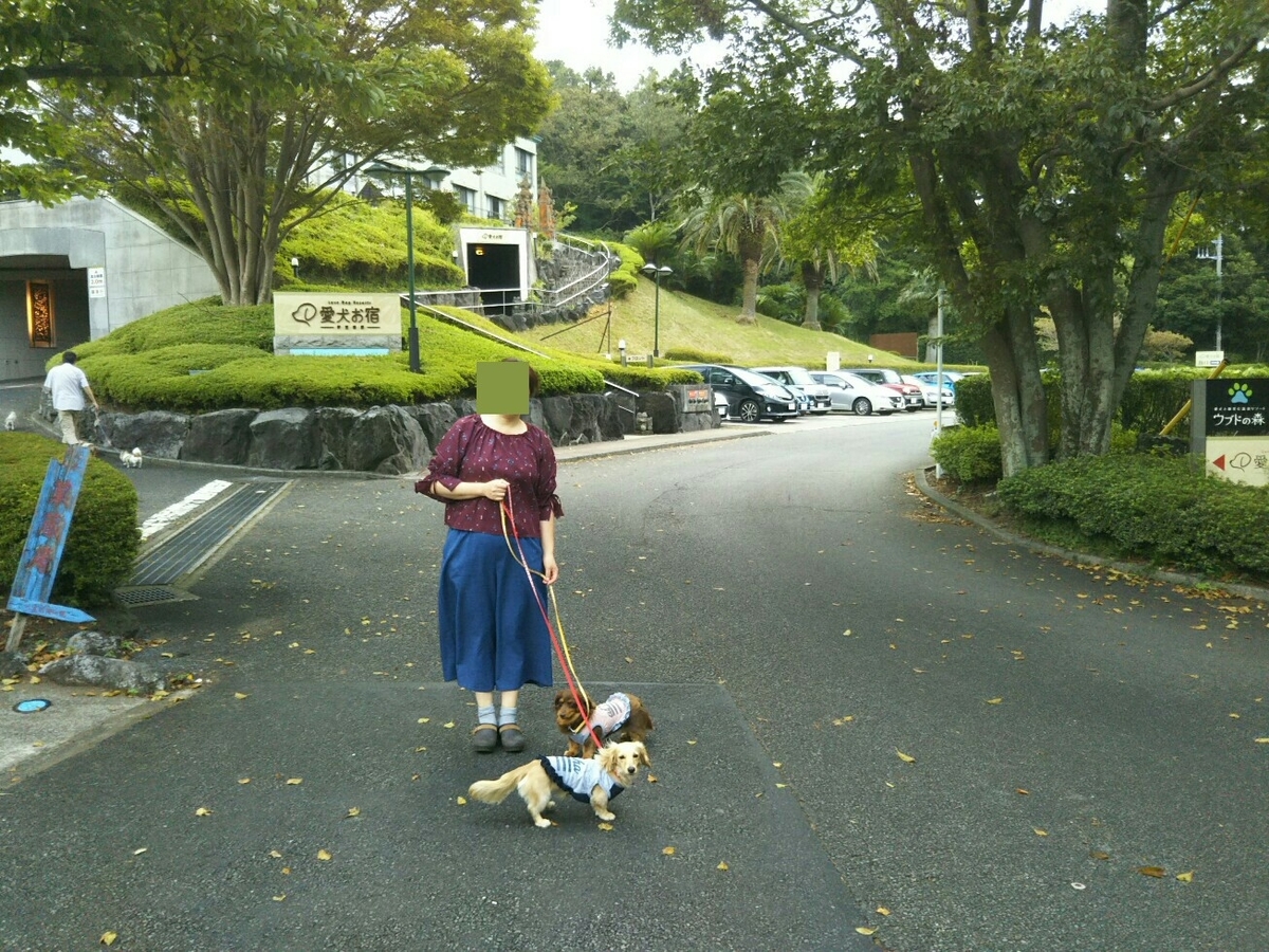 f:id:hirotaka72:20190918064619j:plain f:id:hirotaka72:20190918064619j:plain