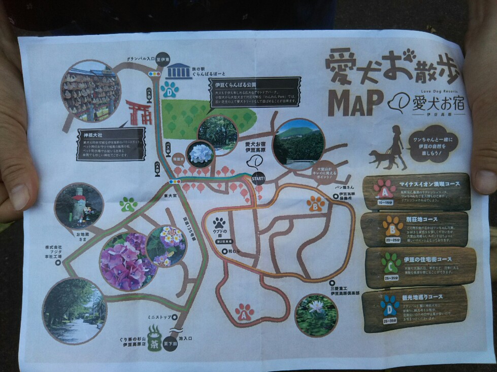 f:id:hirotaka72:20190918070638j:plain f:id:hirotaka72:20190918070638j:plain