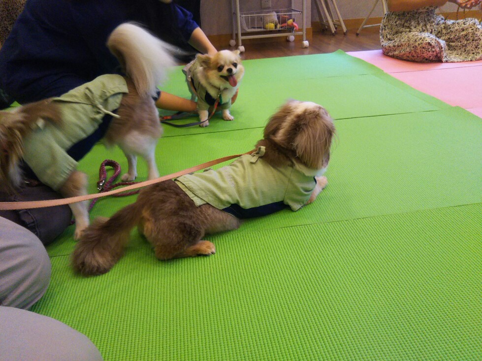 f:id:hirotaka72:20190918094411j:plain f:id:hirotaka72:20190918094411j:plain