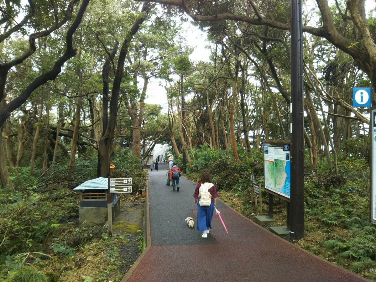 f:id:hirotaka72:20190918120435j:plain f:id:hirotaka72:20190918120435j:plain