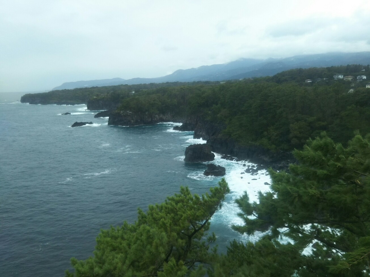 f:id:hirotaka72:20190918120731j:plain f:id:hirotaka72:20190918120731j:plain