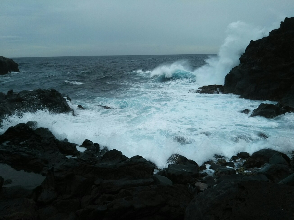f:id:hirotaka72:20190918122914j:plain f:id:hirotaka72:20190918122914j:plain