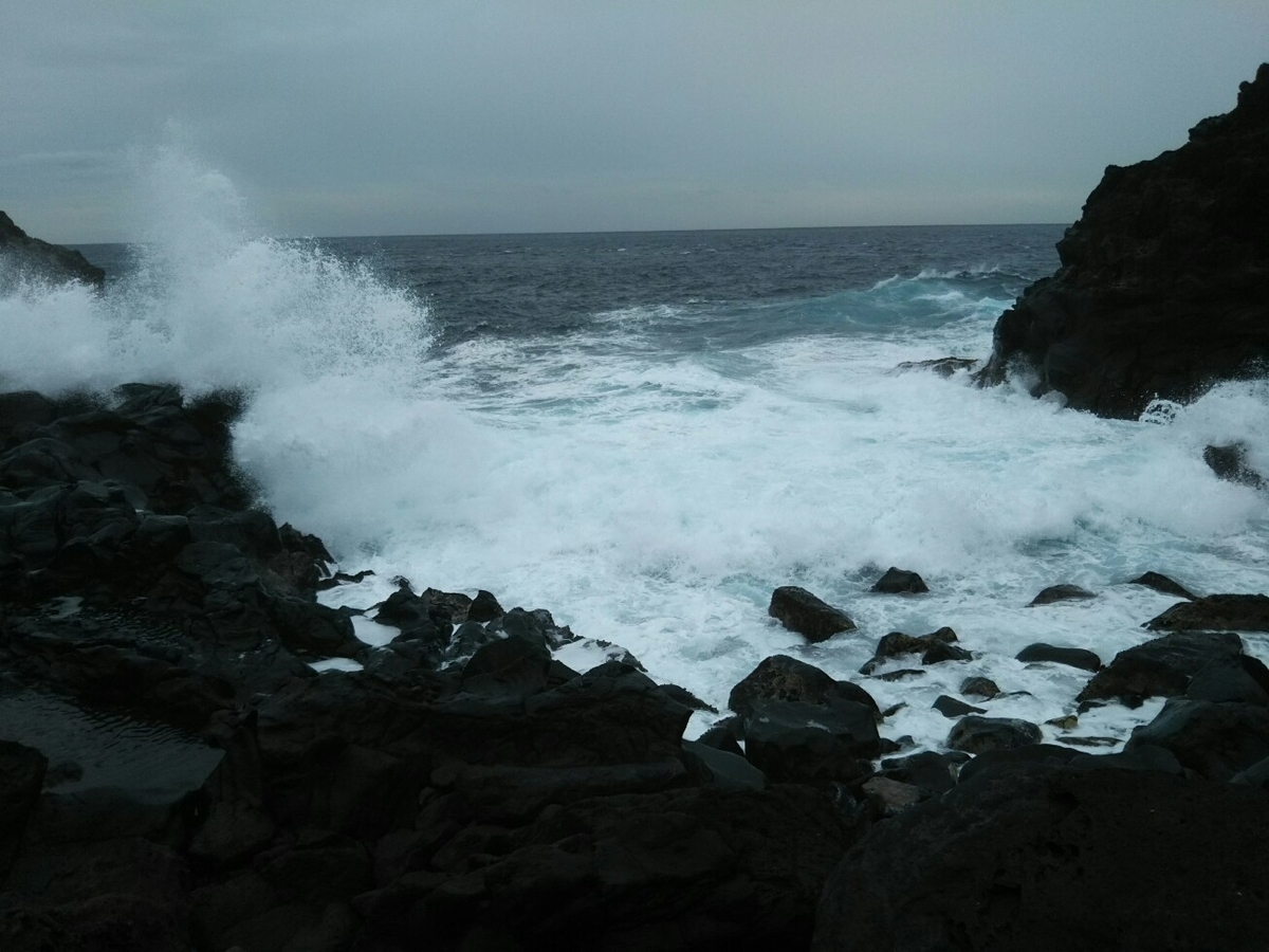 f:id:hirotaka72:20190918122920j:plain f:id:hirotaka72:20190918122920j:plain